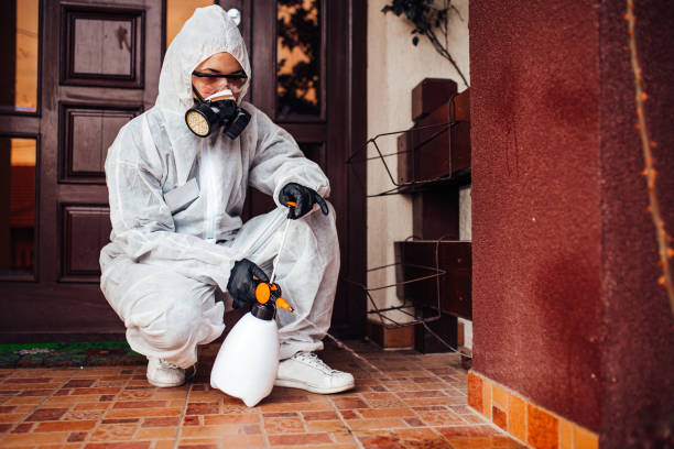Reliable Wasp Removal contractor in Fellsmere, FL by Show Me Pest Control